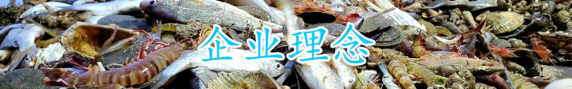 企业理念