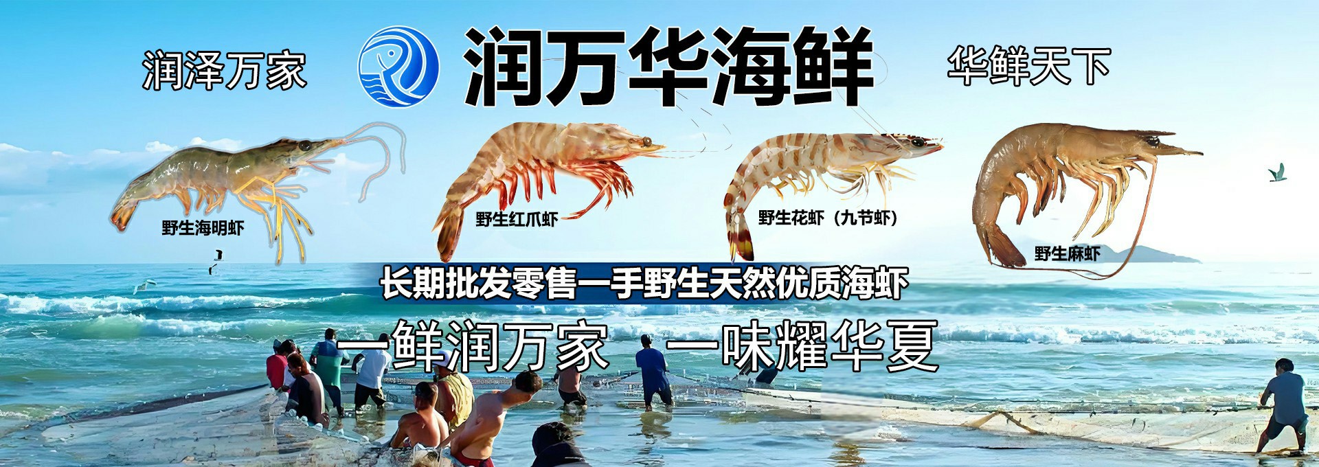 LOGO图片